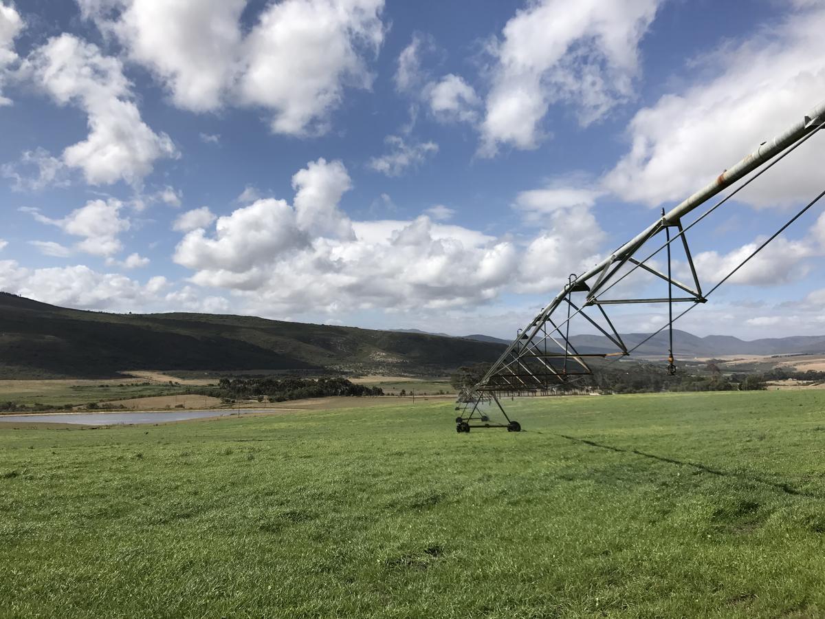 Goedvertrou Guest Farm Papiesvlei ภายนอก รูปภาพ