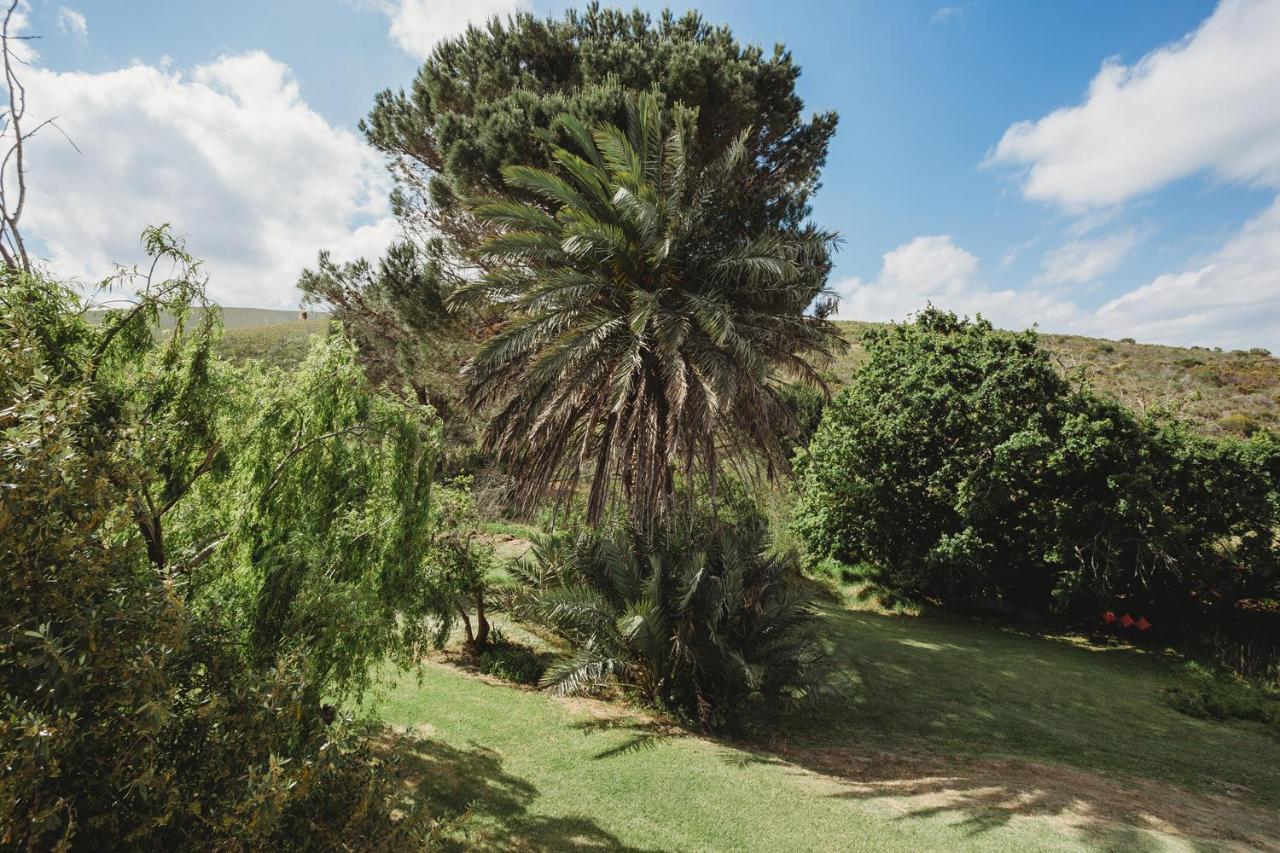 Goedvertrou Guest Farm Papiesvlei ภายนอก รูปภาพ